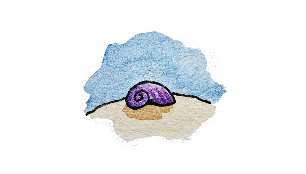 A purple seashell.